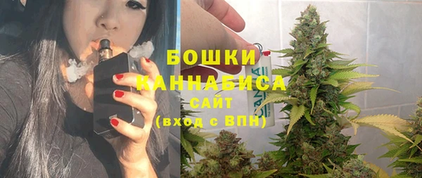 ПСИЛОЦИБИНОВЫЕ ГРИБЫ Алексеевка