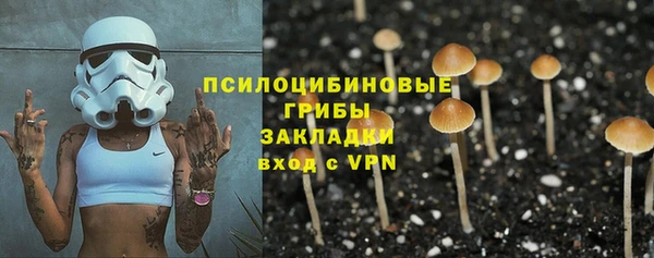 ПСИЛОЦИБИНОВЫЕ ГРИБЫ Алексеевка