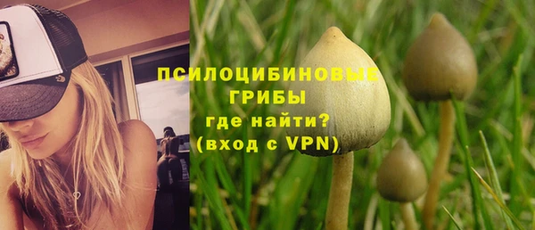mix Алексин