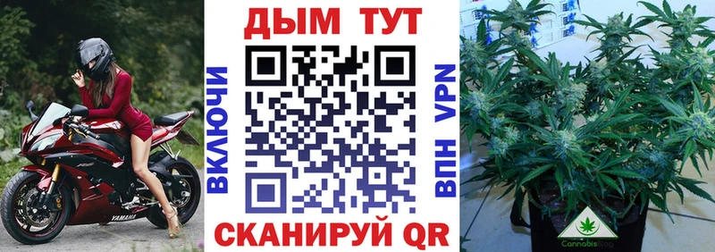 Марихуана Bruce Banner  MEGA сайт  Поронайск 